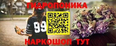 ПСИЛОЦИБИНОВЫЕ ГРИБЫ Кимры